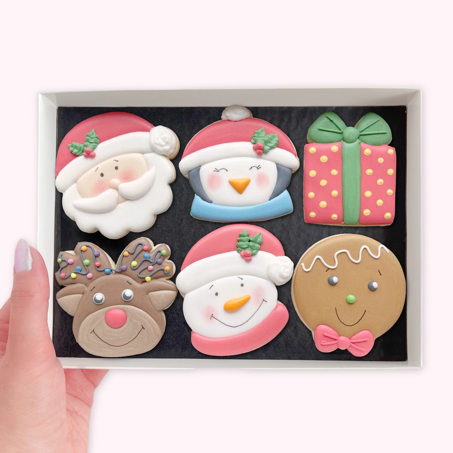Christmas Selection Iced Biscuits