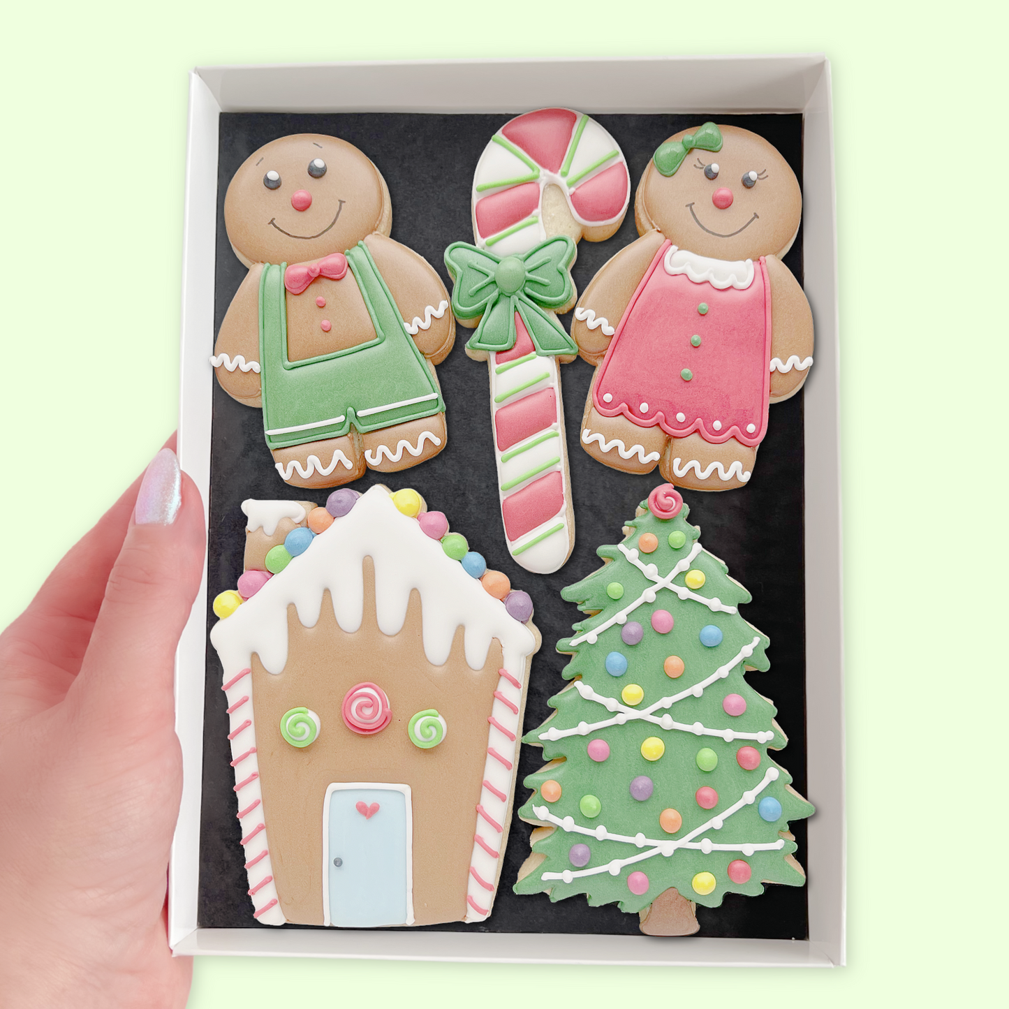 Gingerbread House Boy and Girl Iced Biscuits