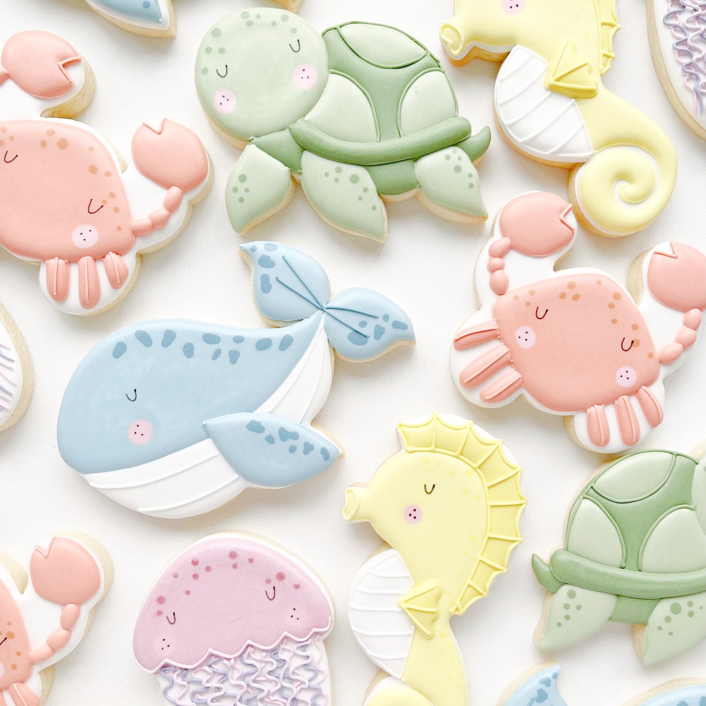 Turtle Cookie Cutter