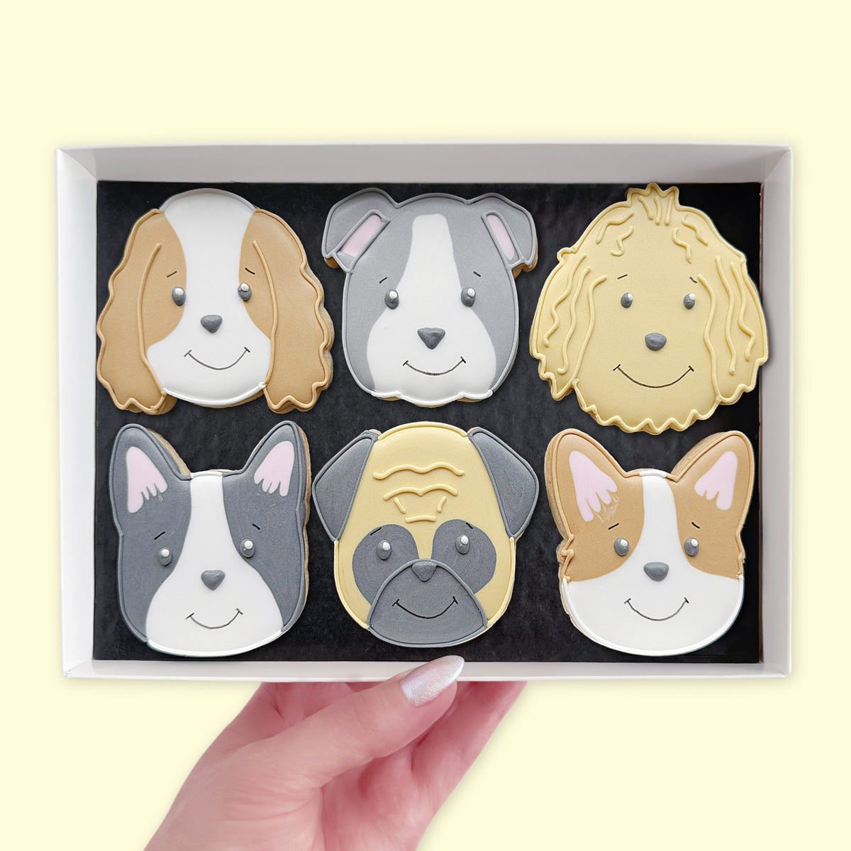 Hand holding an open white gift box containing six hand-iced dog face biscuits with different colours and markings.