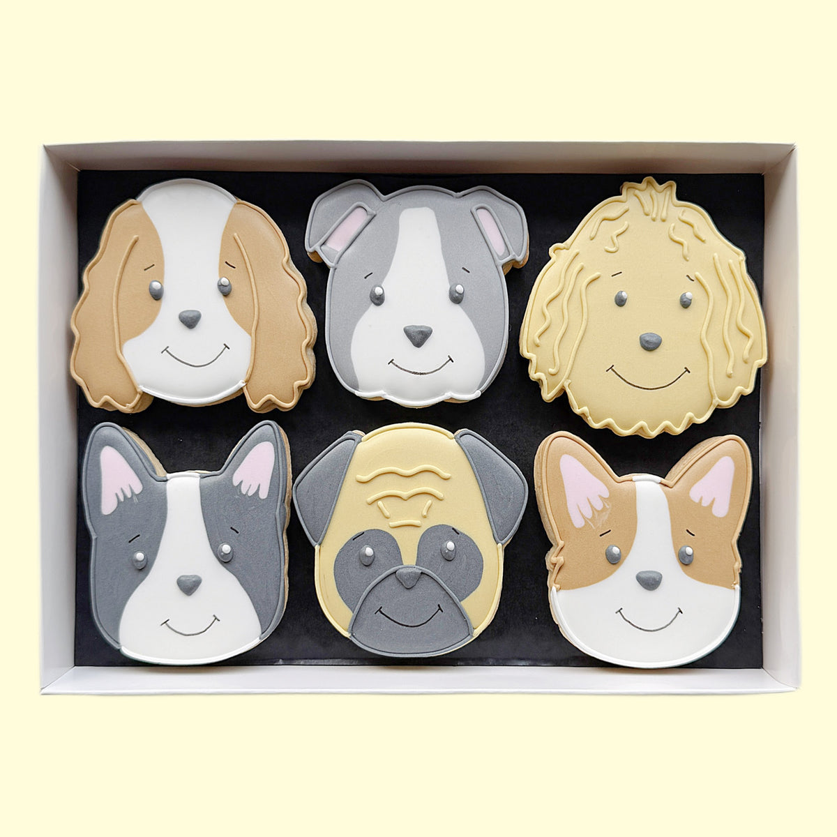 Six hand-iced dog face biscuits in grey, tan and cream arranged in a white gift box on a pale yellow background.