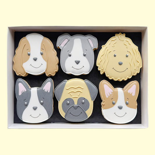 Six hand-iced dog face biscuits in grey, tan and cream arranged in a white gift box on a pale yellow background.