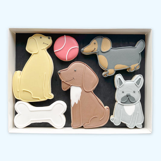Hand-iced biscuits in a white gift box, featuring four dogs in yellow, brown and grey designs, a pink tennis ball and a white bone.