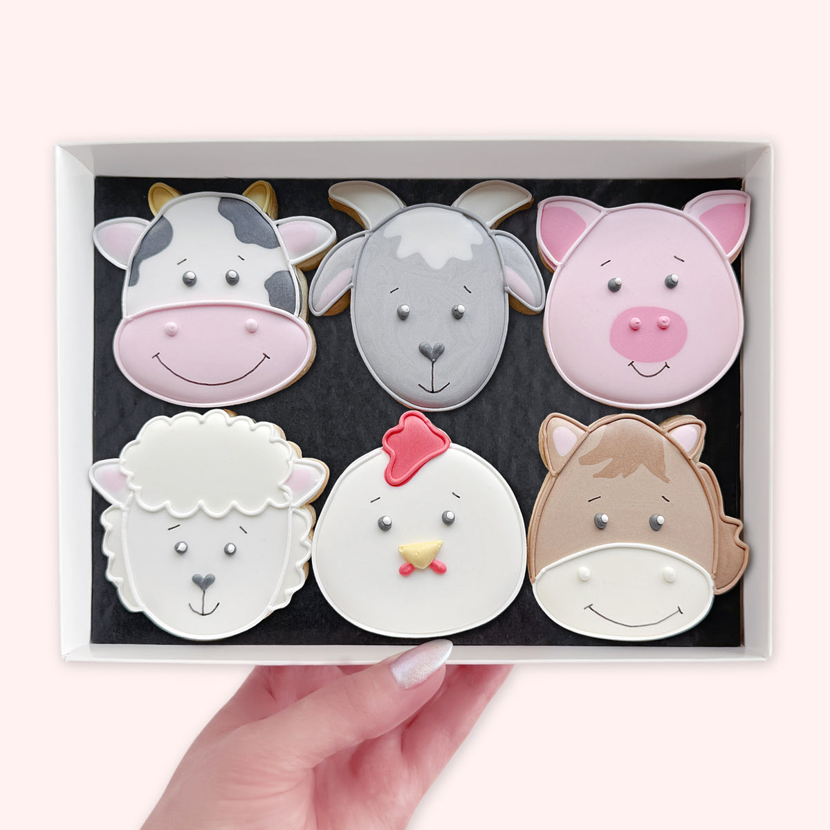 Closed white biscuit gift box tied with a black ribbon and a Katie’s Biscuit Shop gift tag, shown against a pale pink background.