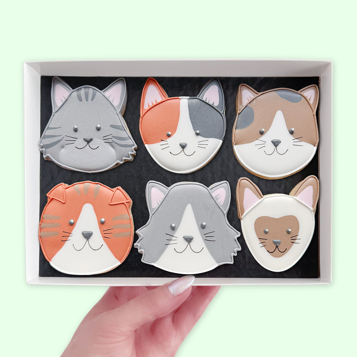 Hand holding an open white gift box containing six hand-iced cat face biscuits with different colours and markings.