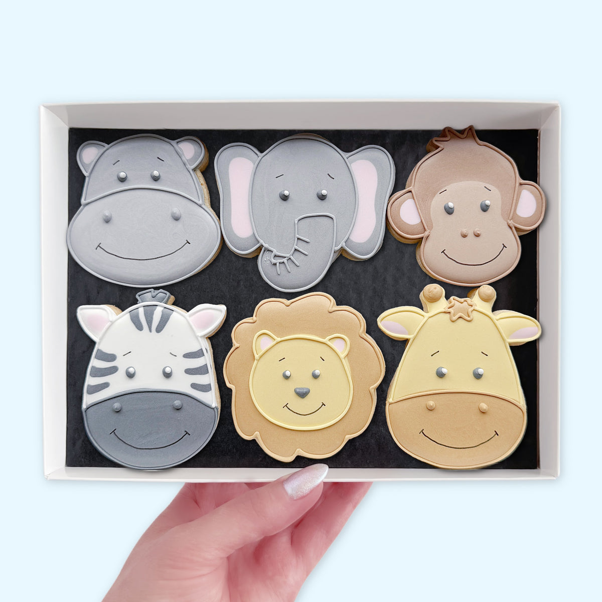 Hand holding a white gift box of six iced biscuits shaped as smiling hippo, elephant, monkey, zebra, lion and giraffe faces