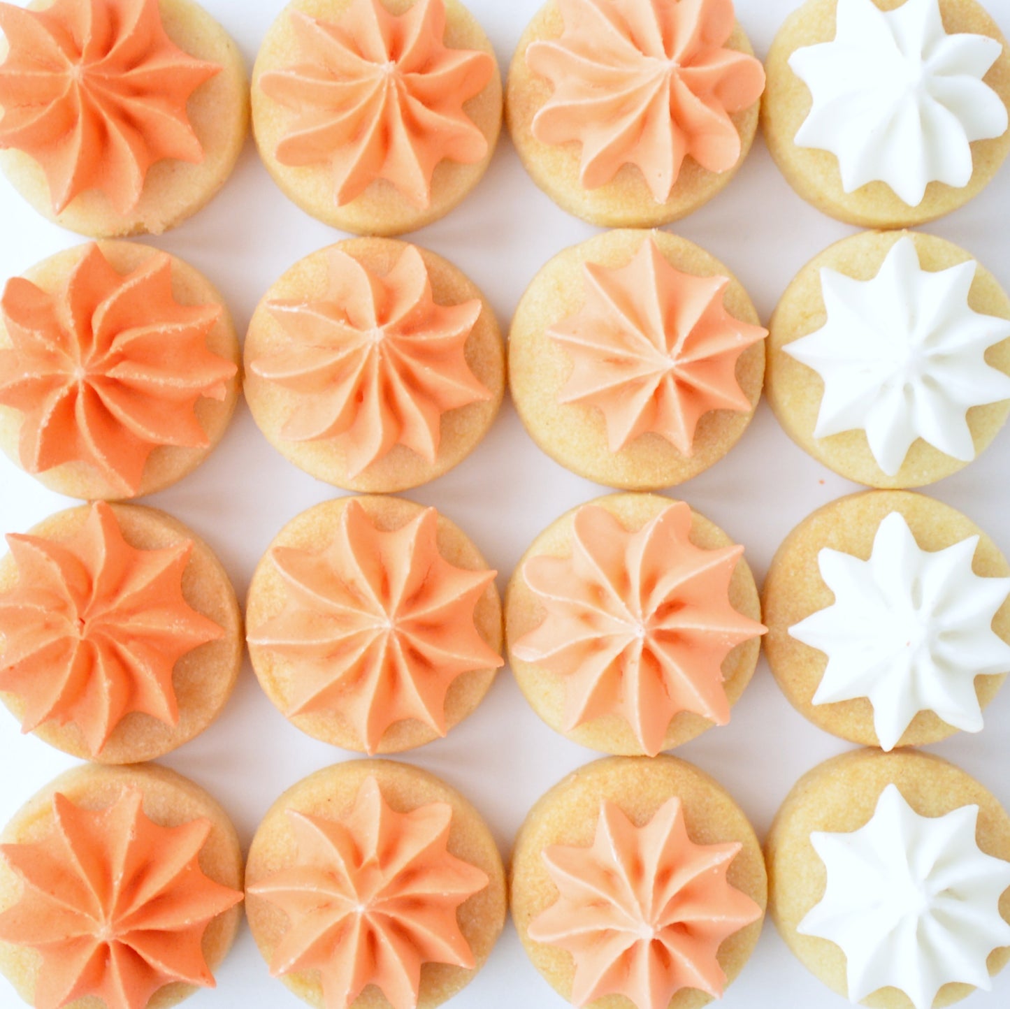 orange biscuit gems 