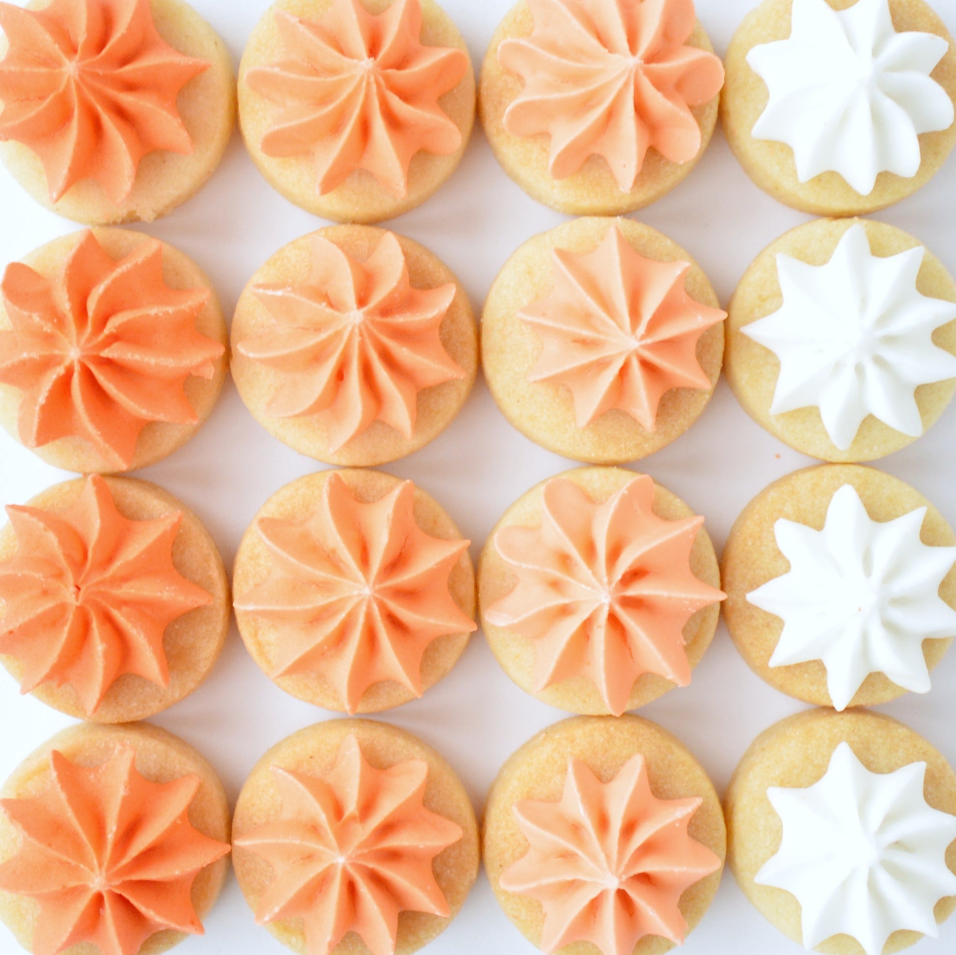 orange biscuit gems 
