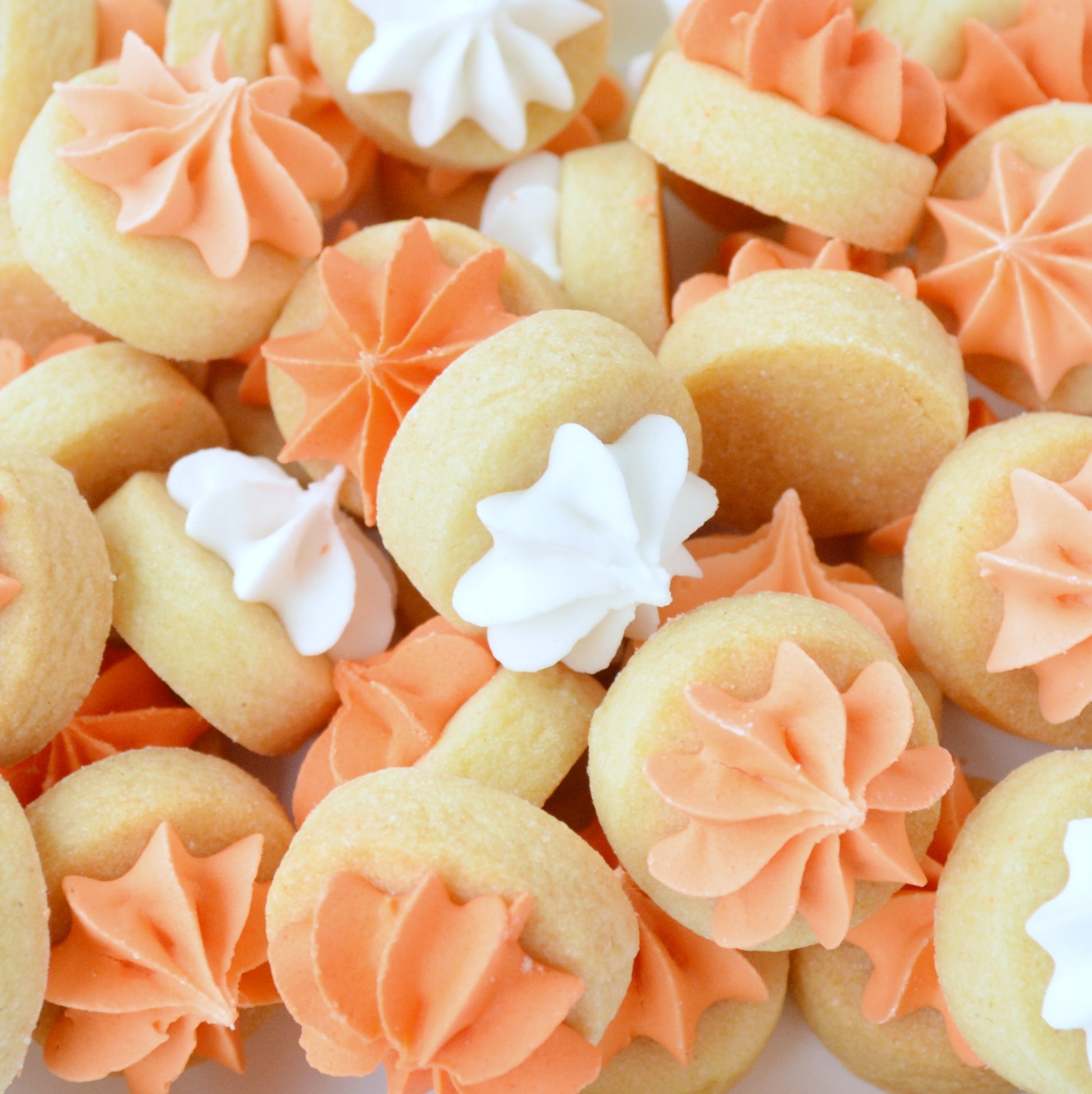 Biscuit iced gems in shades of orange by Katie's Biscuit shop