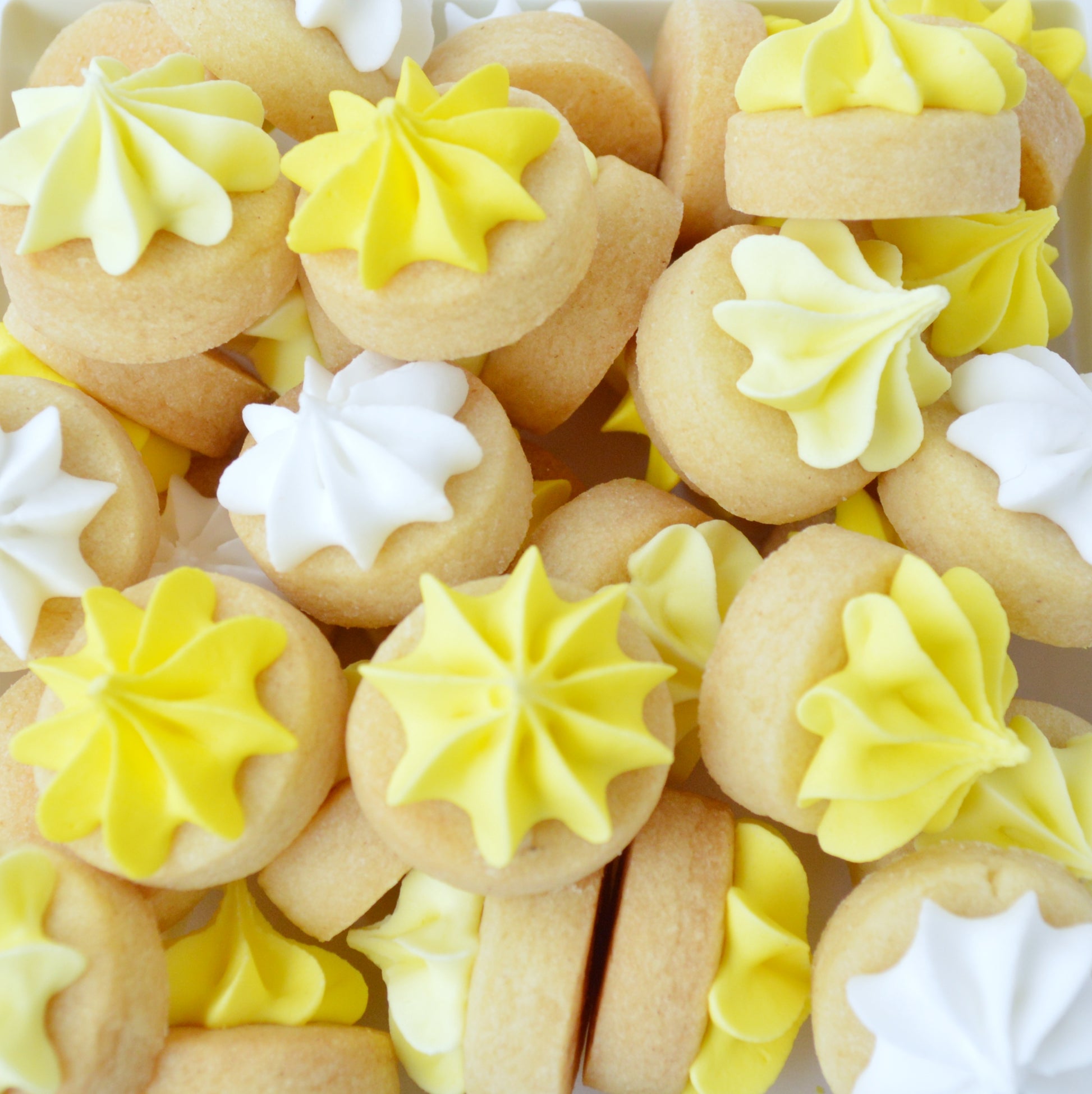 Biscuit iced gems in shades of yellow by Katie's Biscuit shop