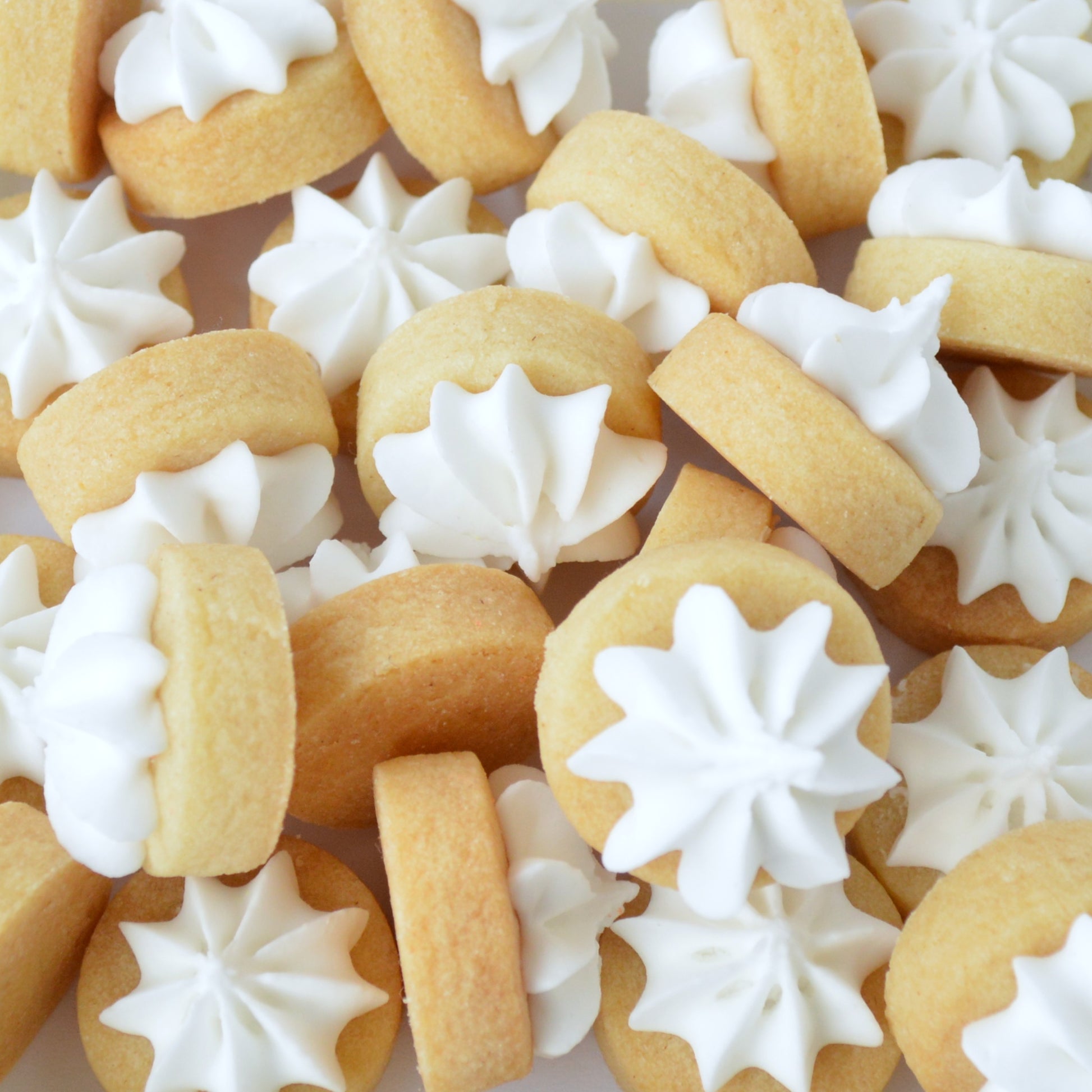 white Biscuit iced gems by Katie's Biscuit shop