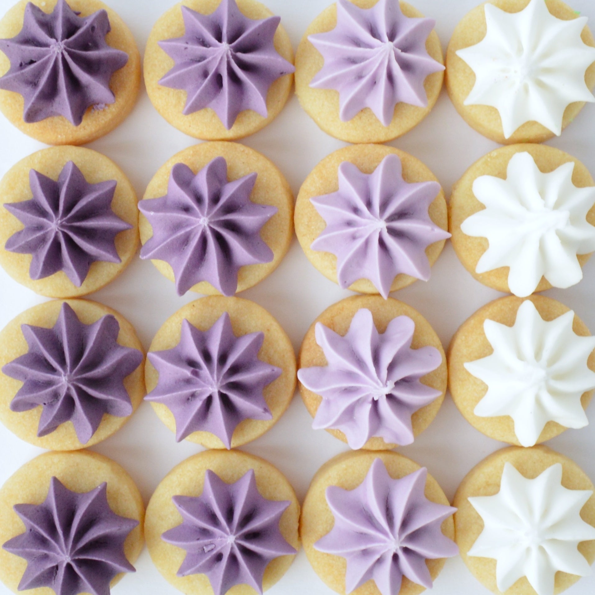 purple biscuit gems 