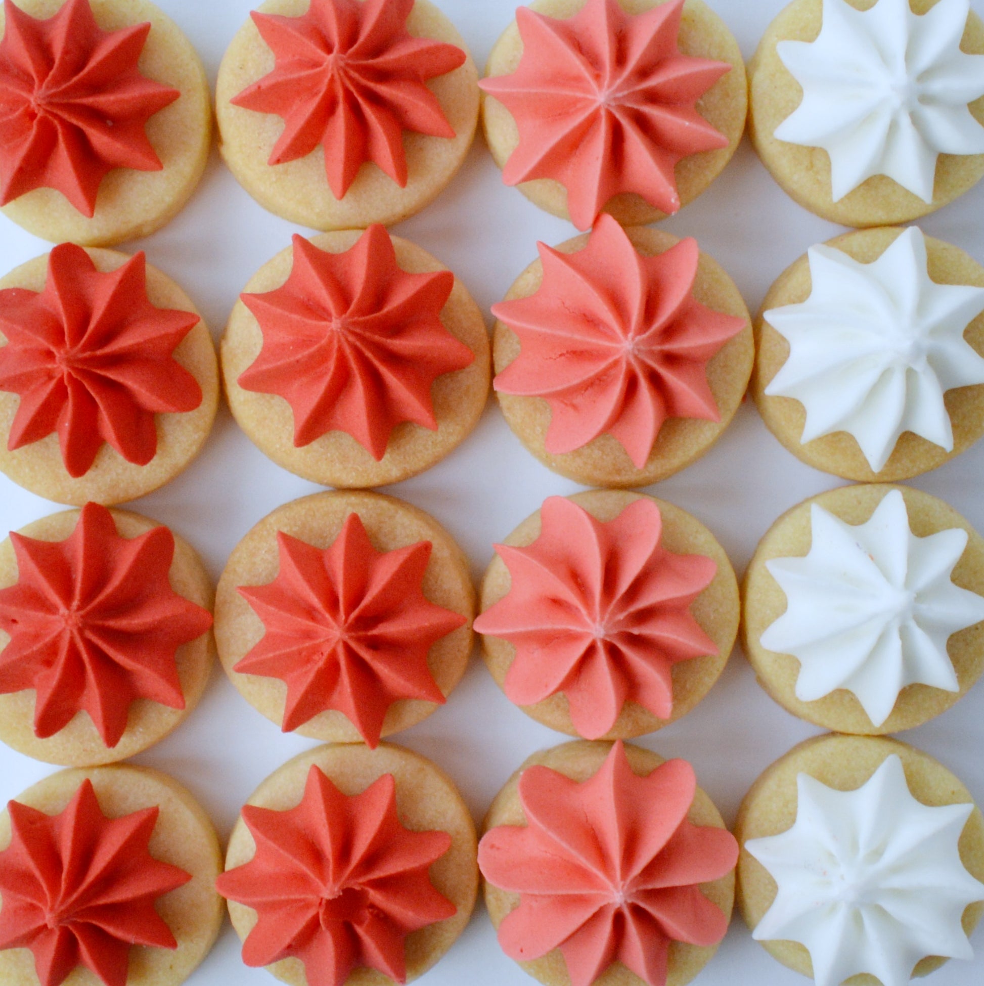 red iced biscuit gems 