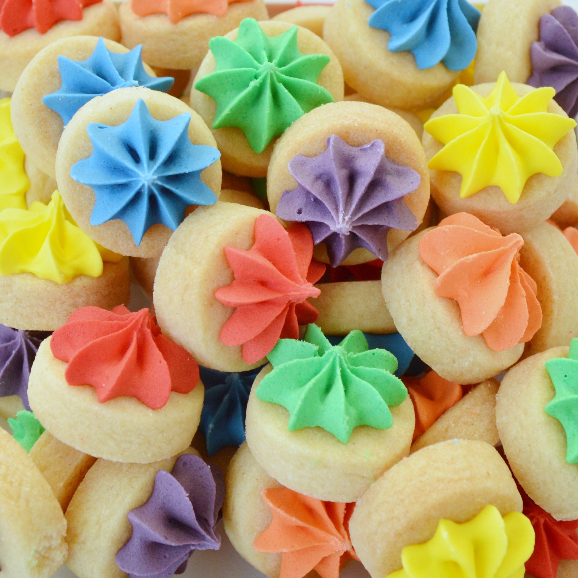 Biscuit iced gems in bright rainbow colours by Katie's Biscuit shop