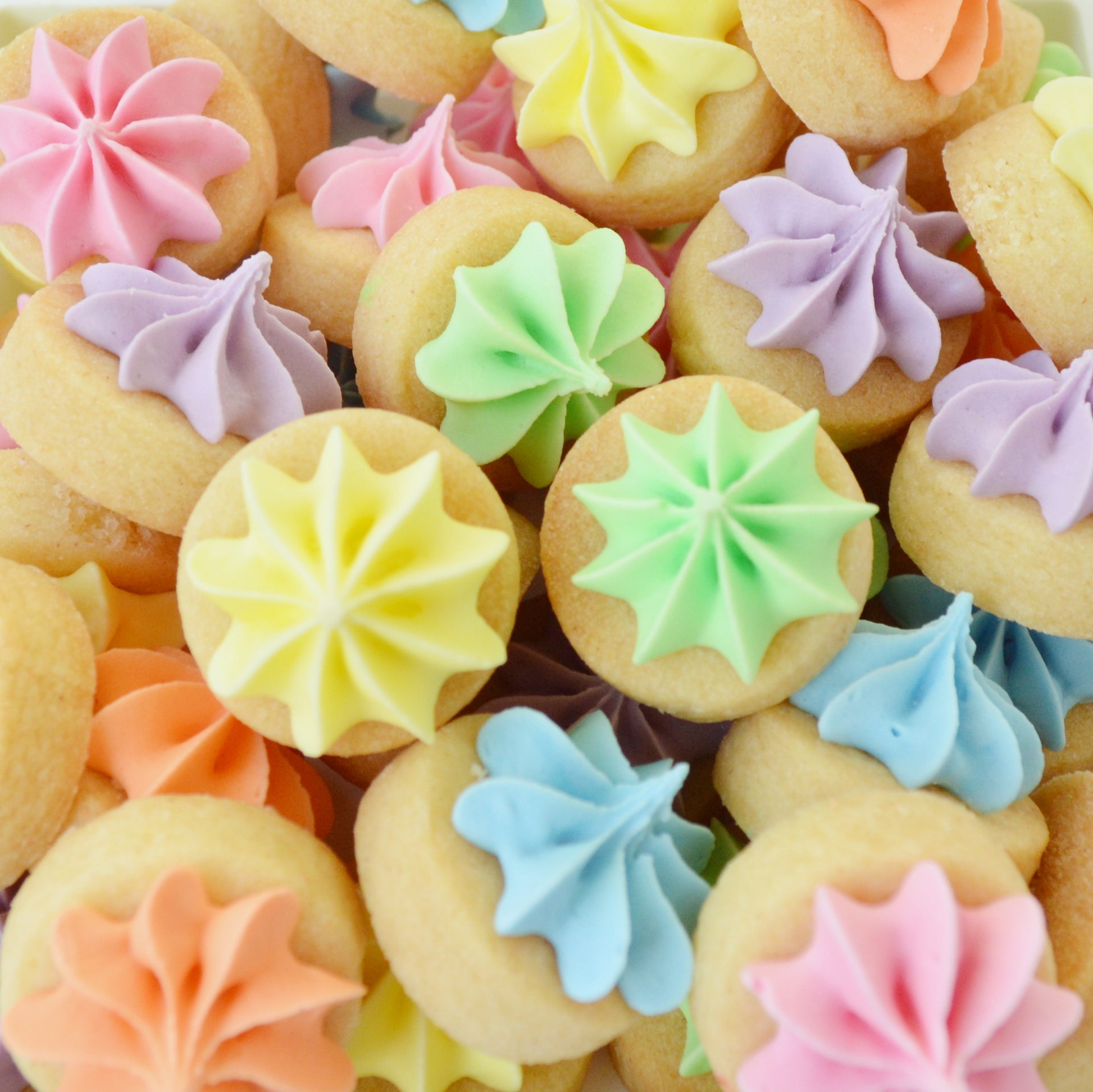 Biscuit iced gems in pastel rainbow colours by Katie's Biscuit shop